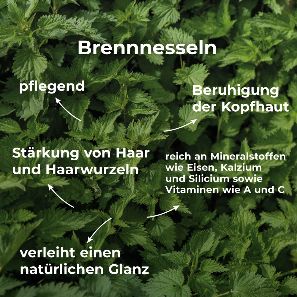 Brennessel-Shampoo Brennessel-Shampoo – Bild 4