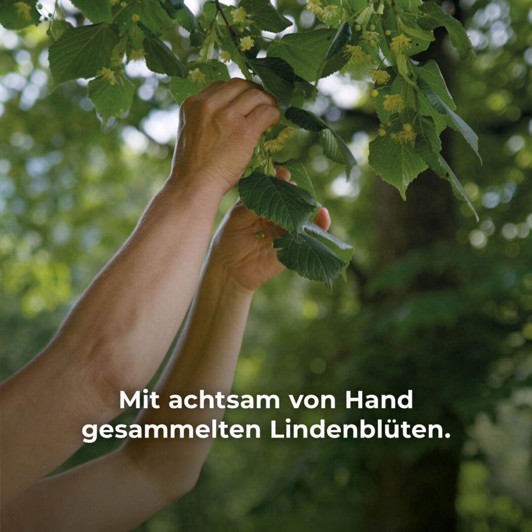 Bodylotion – Bild 3