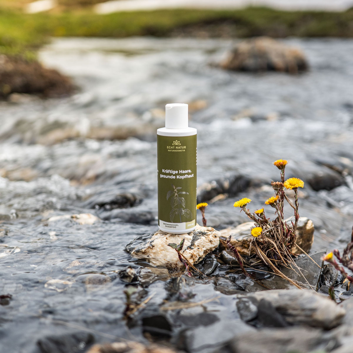 Brennessel-Shampoo Brennessel-Shampoo – Bild 2