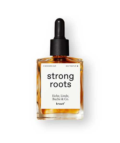kruut Strong Roots Baumknospen Tinktur 30 ml