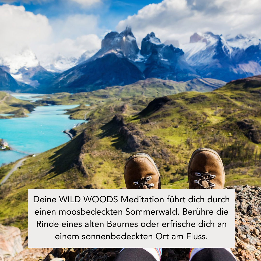 Duftkerze mit integrierter Meditation – WILD WOODS, 300g Duftkerze mit integrierter Meditation – WILD WOODS, 300g – Bild 4