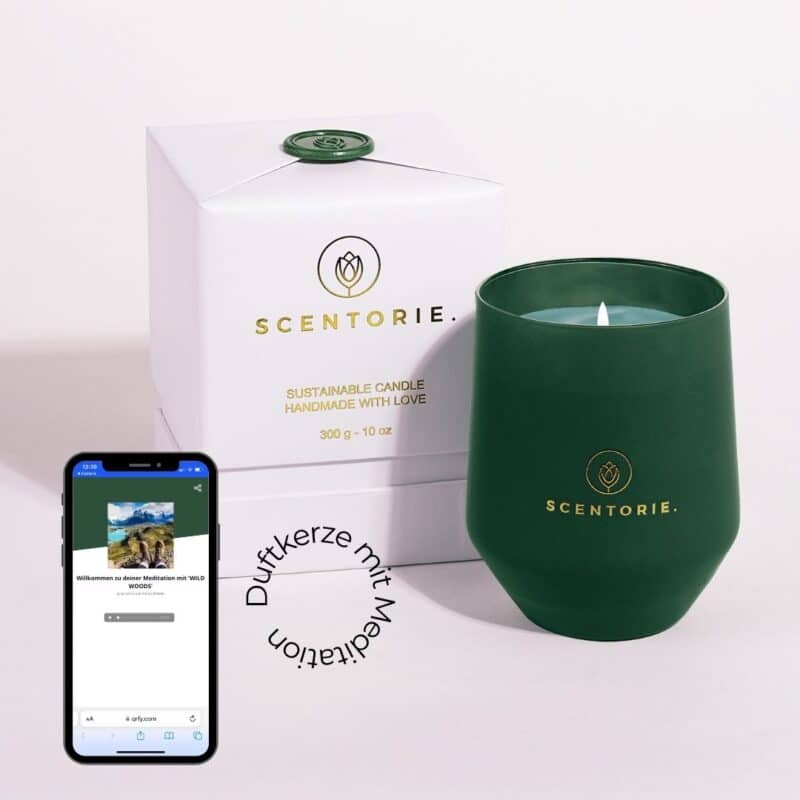 Duftkerze mit integrierter Meditation – WILD WOODS, 300g (erhältlich ab November 2026)
